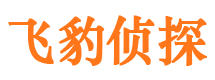 珠山市婚外情调查